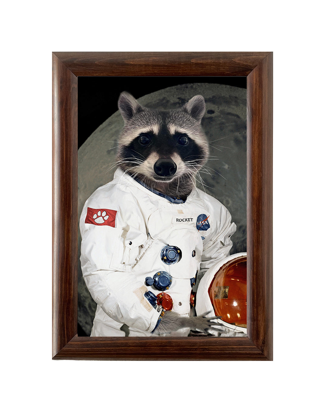 Astronauta - Cuadro Personalizado